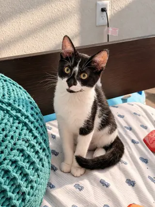 Oatmeal (The Breakfast Club)
