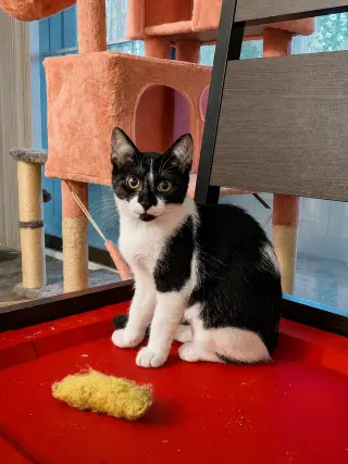 Oatmeal (The Breakfast Club)
