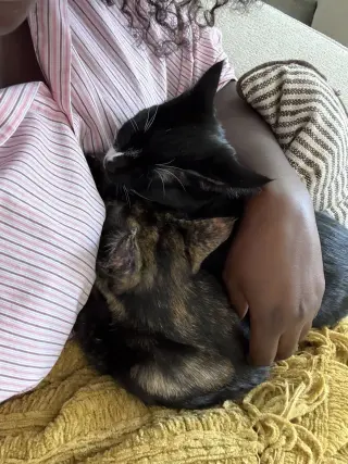 Luna