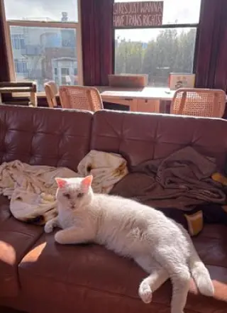 Prince