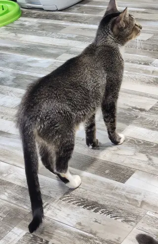 Mum