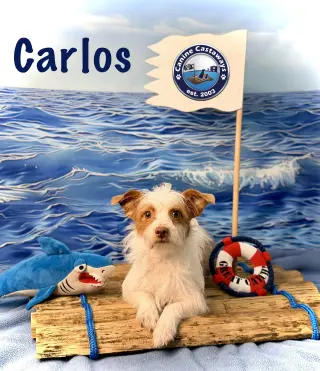 Carlos