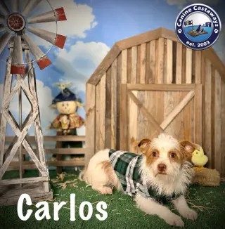 Carlos