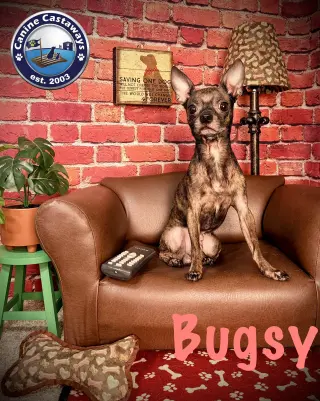 Bugsy