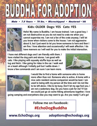 Buddha