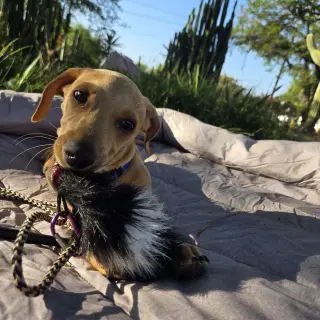 Copper