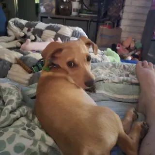 Copper