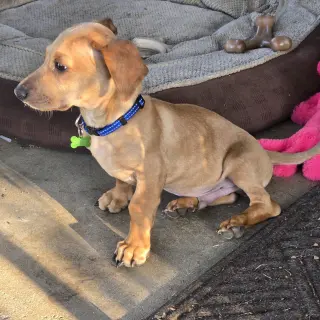 Copper