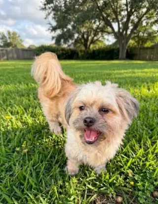 Maripily in TX