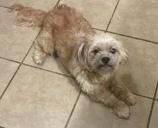 Maripily in TX
