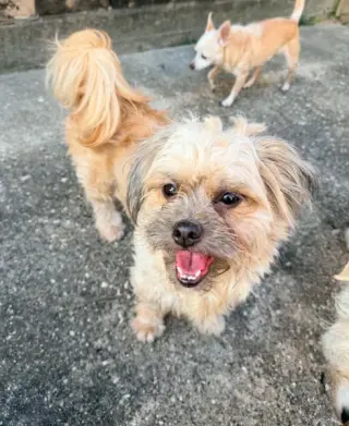 Maripily in TX