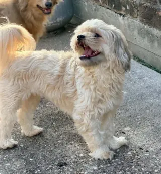 Suzy in TX