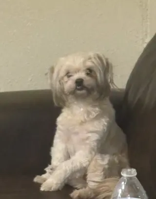 Suzy in TX