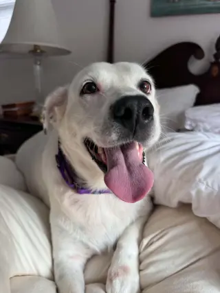 Sadie