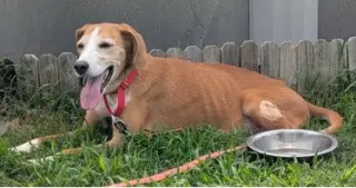 Edna