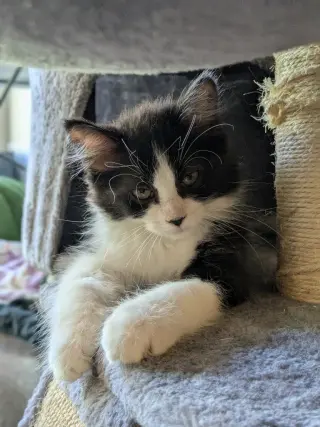 Zig - No Longer Accepting Applications