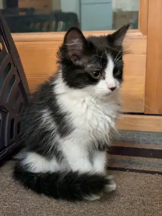 Zig - No Longer Accepting Applications
