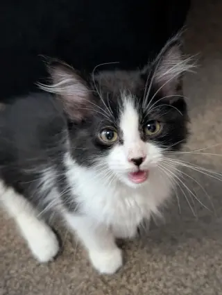 Zig - No Longer Accepting Applications