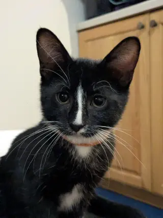 Zag / Zoom