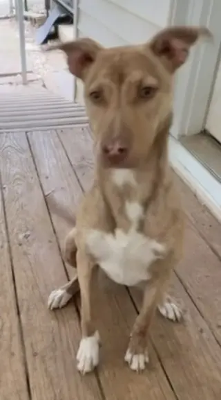 Little Bit