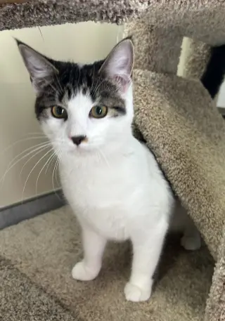 Xena