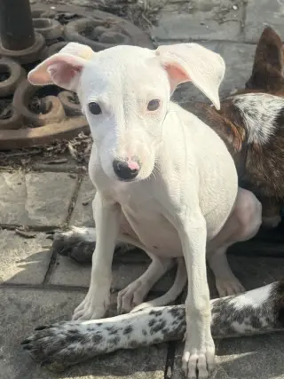 Matilda