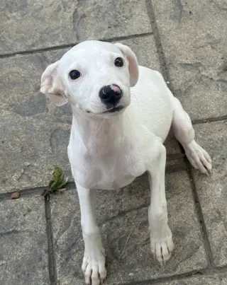 Matilda