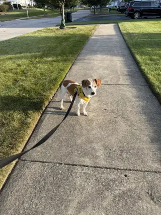 Bea