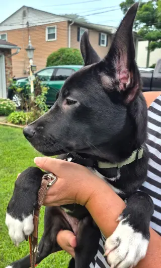 Hanna
