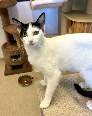 Kiki