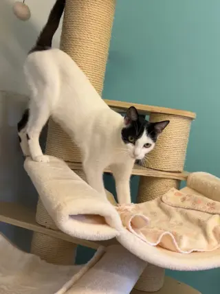 Kiki