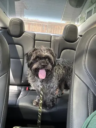 Oscar
