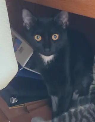 Lucy