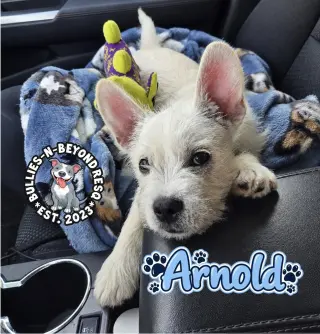 Arnold
