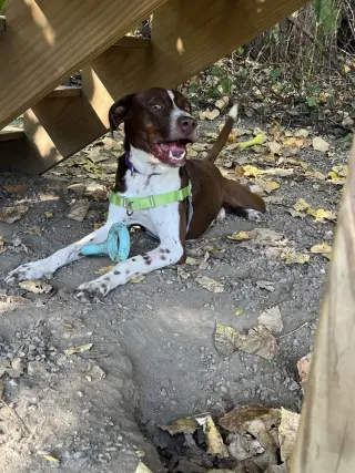 Trevor