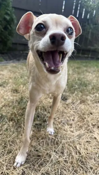 Marley aka (Thunder)~