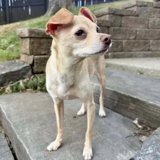 Marley aka (Thunder)~