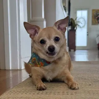 Chloe aka (Lighting)~