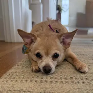 Chloe aka (Lighting)~