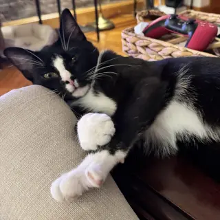 Big Man