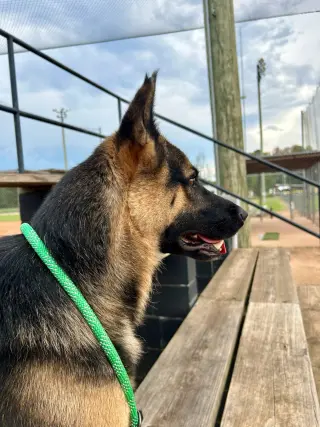 Diego