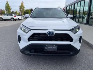 Toyota RAV4 Híbrido 2024 AWD LE 4dr SUV