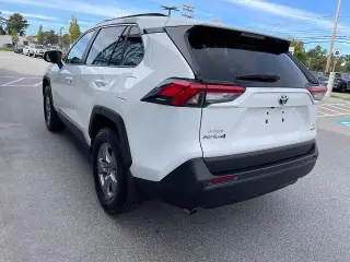 Toyota RAV4 Híbrido 2024 AWD LE 4dr SUV