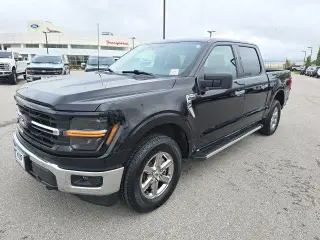 Ford F-150 2025 4x4 XLT 4dr SuperCrew 6.5 ft. SB