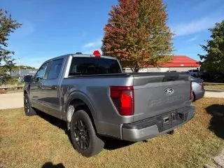 Ford F-150 2024 4x4 STX 4dr SuperCrew 5.5 ft. SB