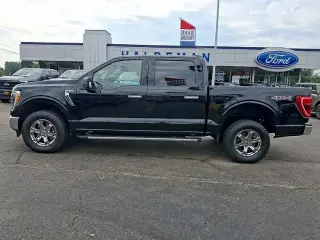 Ford F-150 2023 4x4 XLT 4dr SuperCrew 5.5 ft. SB