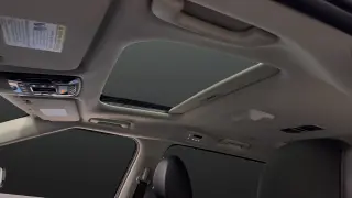 2025 Kia Carnival Hybrid