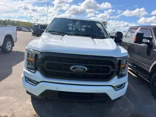 Ford F-150 2023 4x4 XLT 4dr SuperCrew 6.5 ft. SB