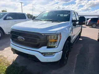 Ford F-150 2023 4x4 XLT 4dr SuperCrew 6.5 ft. SB