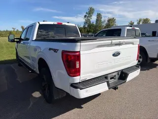 Ford F-150 2023 4x4 XLT 4dr SuperCrew 6.5 ft. SB